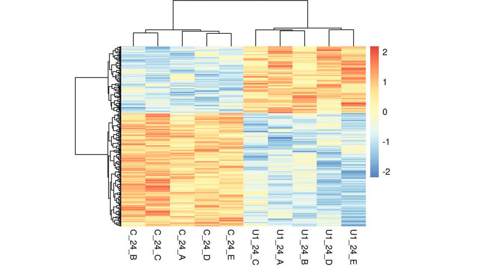 Environmental influences cause methylgroups to bond to or uncouple from the DNA strand. Depending on their number and distribution, this creates a very characteristic pattern.